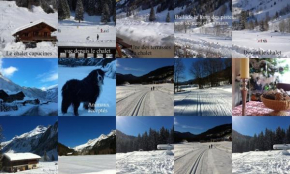Chalet CAPUCINES LE GRAND BORNAND